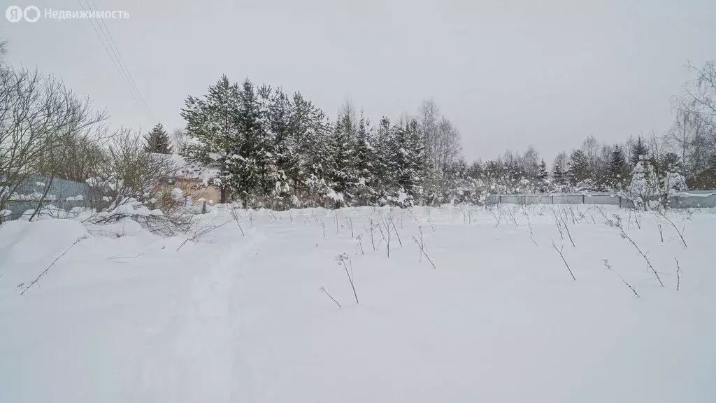 Участок в Наро-Фоминский городской округ, садоводческое некоммерческое ... - Фото 2
