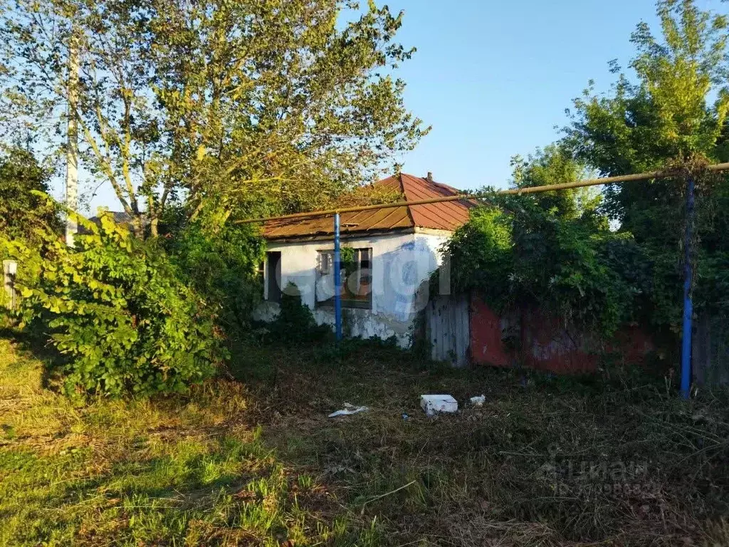 Участок в Белгородская область, Волоконовский район, Пятницкое рп ... - Фото 2