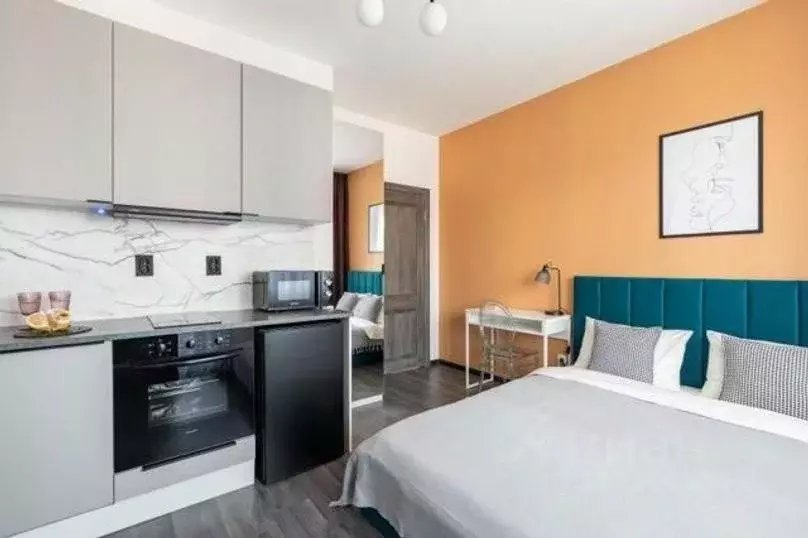 1-к кв. Санкт-Петербург Планерная ул., 97к1 (25.0 м) - Фото 1
