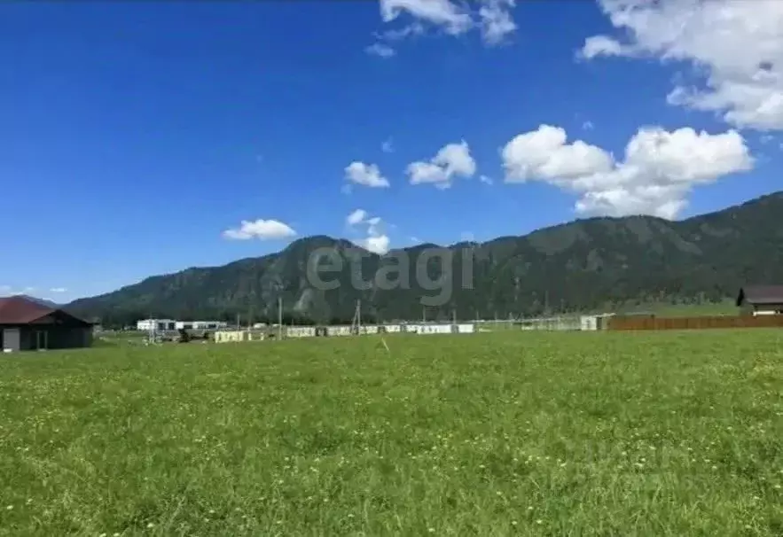 Участок в Алтай, Чемальский район, с. Чепош, Заречье ДНТ  (10.0 сот.) - Фото 1