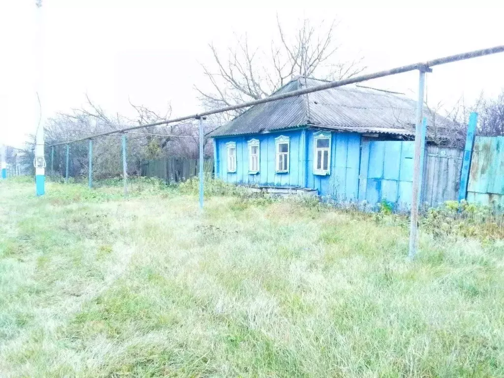 Дом в Белгородская область, Новооскольский муниципальный округ, с. ... - Фото 1