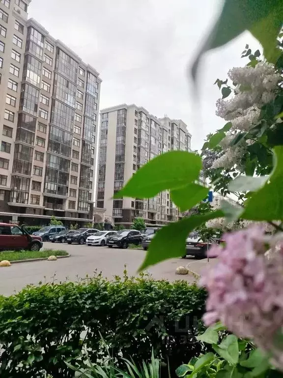 Студия Санкт-Петербург Варшавская ул., 6к1 (26.0 м) - Фото 2