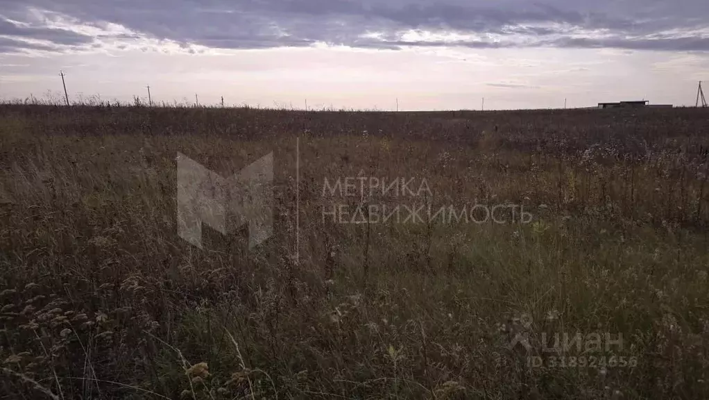 Участок в Тюменская область, Тюменский район, д. Насекина  (8.41 сот.) - Фото 1