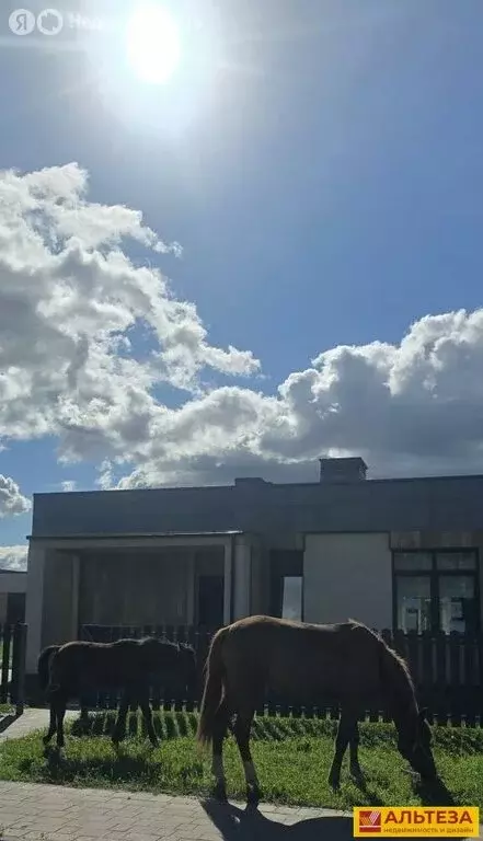 Дом в посёлок Холмогоровка, Городская улица, 3 (76.2 м) - Фото 2