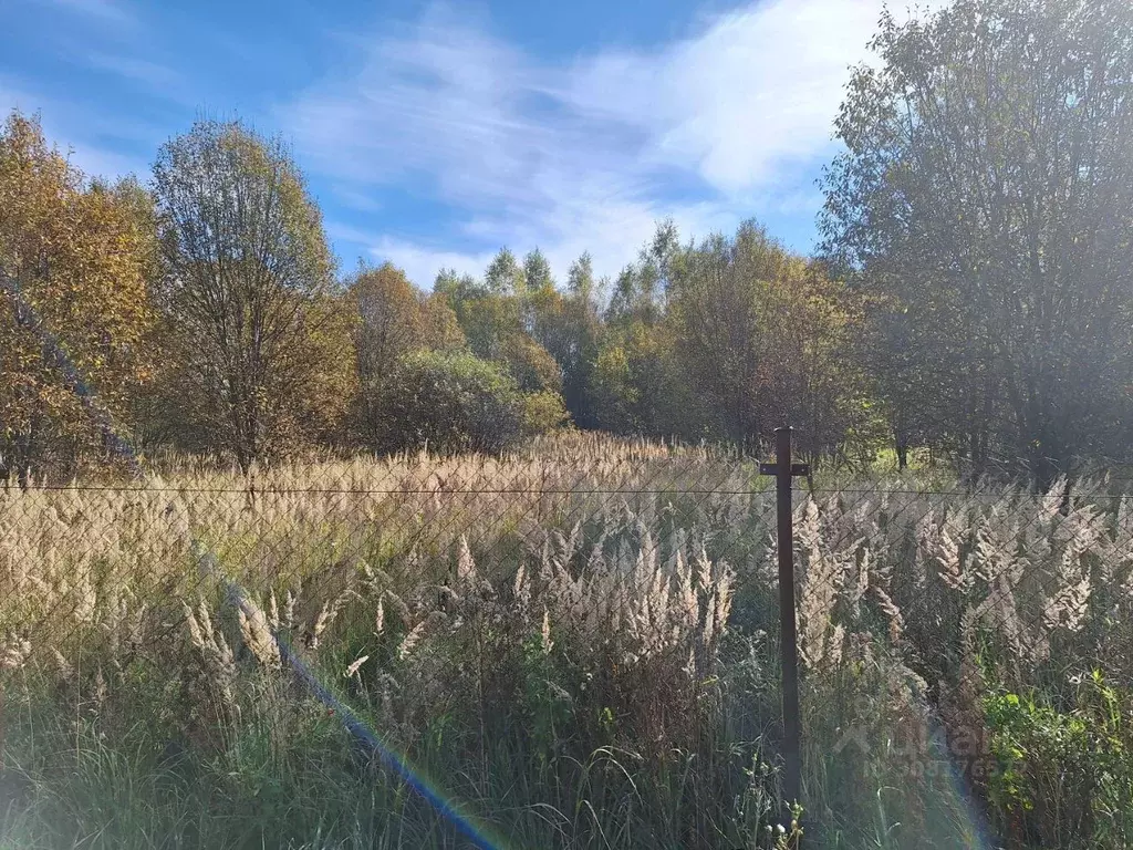 Участок в Московская область, Одинцовский городской округ, д. Петелино ... - Фото 1