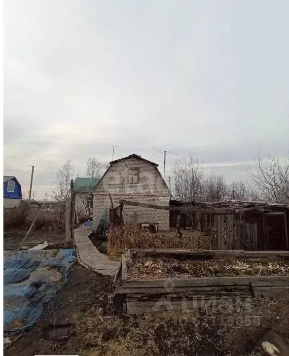 Дом в Амурская область, Ивановский муниципальный округ, с. Березовка  ... - Фото 1