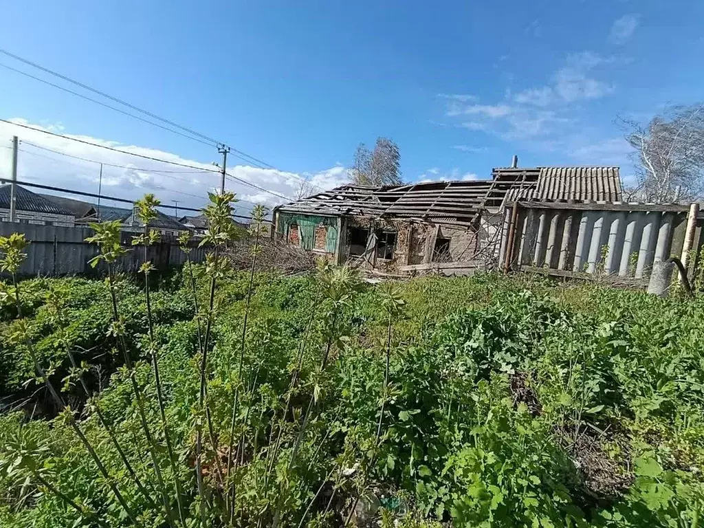 Участок в Белгородская область, Поселок Чернянка городское поселение, ... - Фото 1