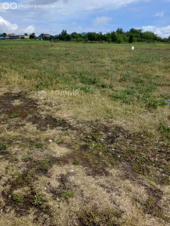 Участок в село Шибылги, улица Ленина, 19 (12 м) - Фото 0
