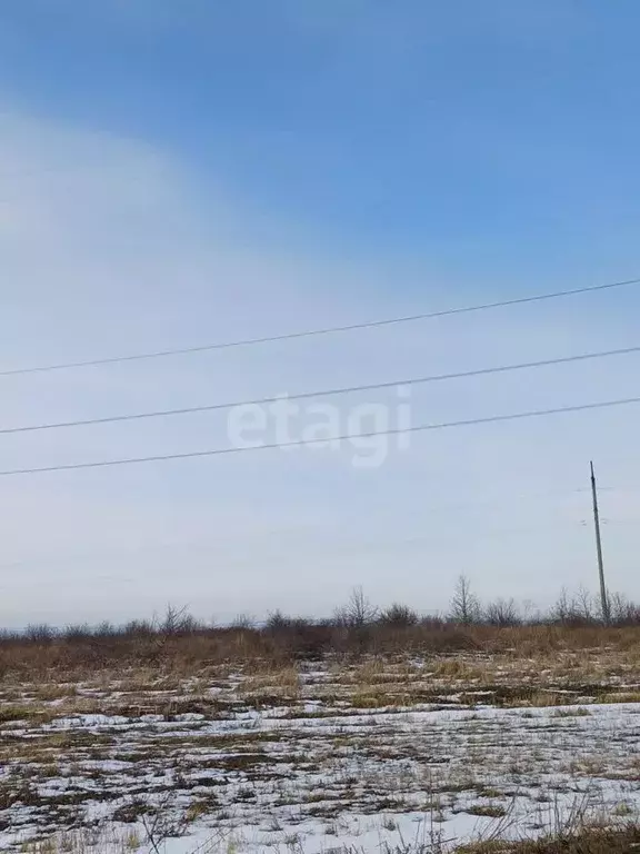 Участок в Белгородская область, Белгородский район, Новосадовское ... - Фото 1