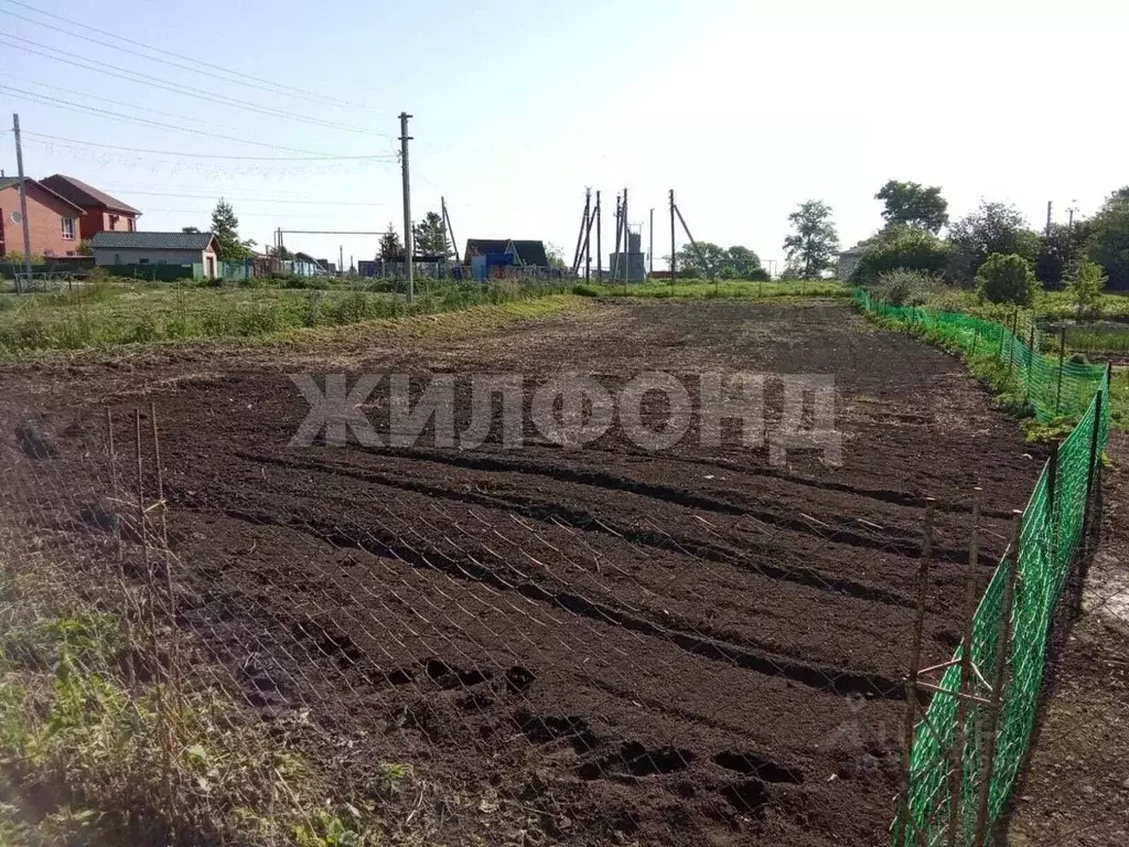 Участок в Новосибирская область, Новосибирский район, Толмачевский ... - Фото 0