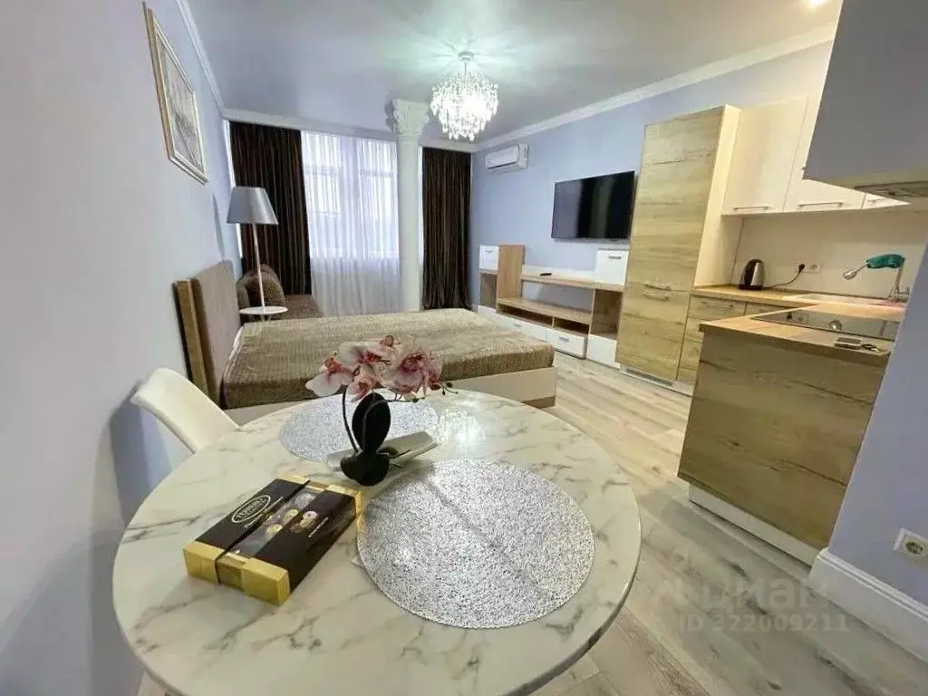 1-к кв. Краснодарский край, Сочи Светлана мкр, ул. Депутатская, 10 ... - Фото 1