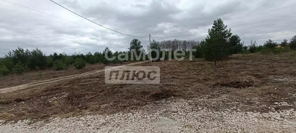 Участок в Владимирская область, Суздальский район, Боголюбовское ... - Фото 1