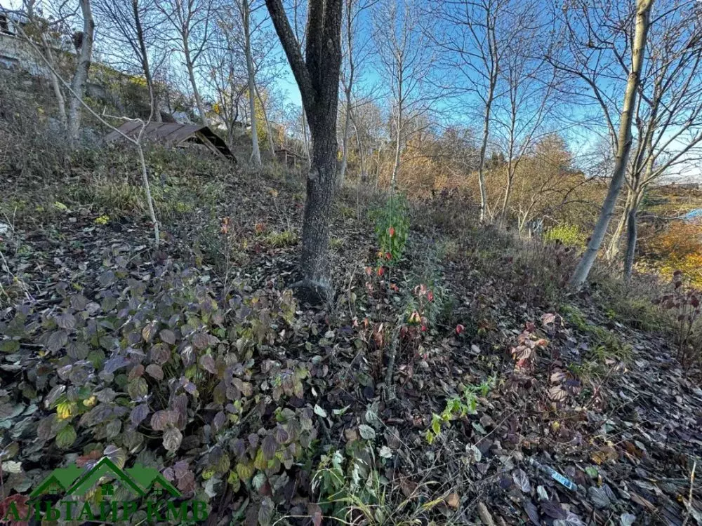 Участок в Ставропольский край, Кисловодск городской округ, пос. ... - Фото 1