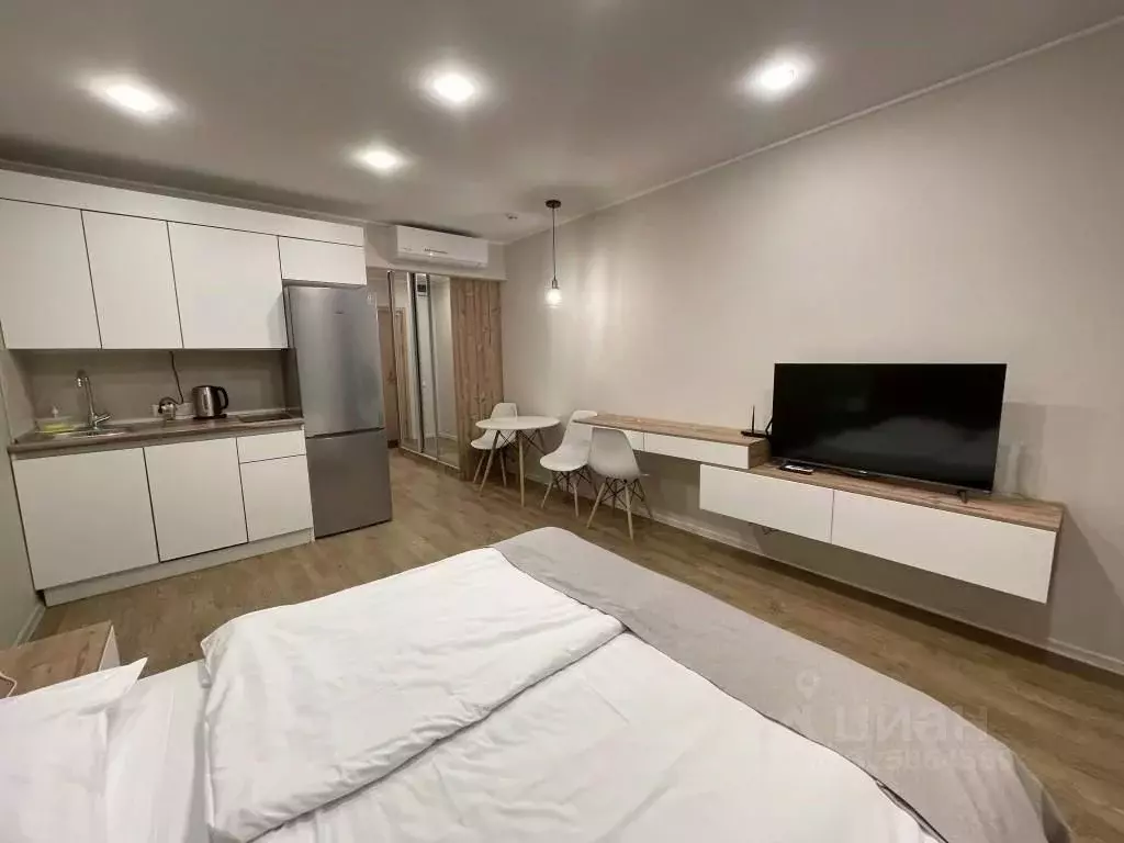 Студия Санкт-Петербург просп. Малый Васильевского острова, 54к2 (26.5 ... - Фото 1