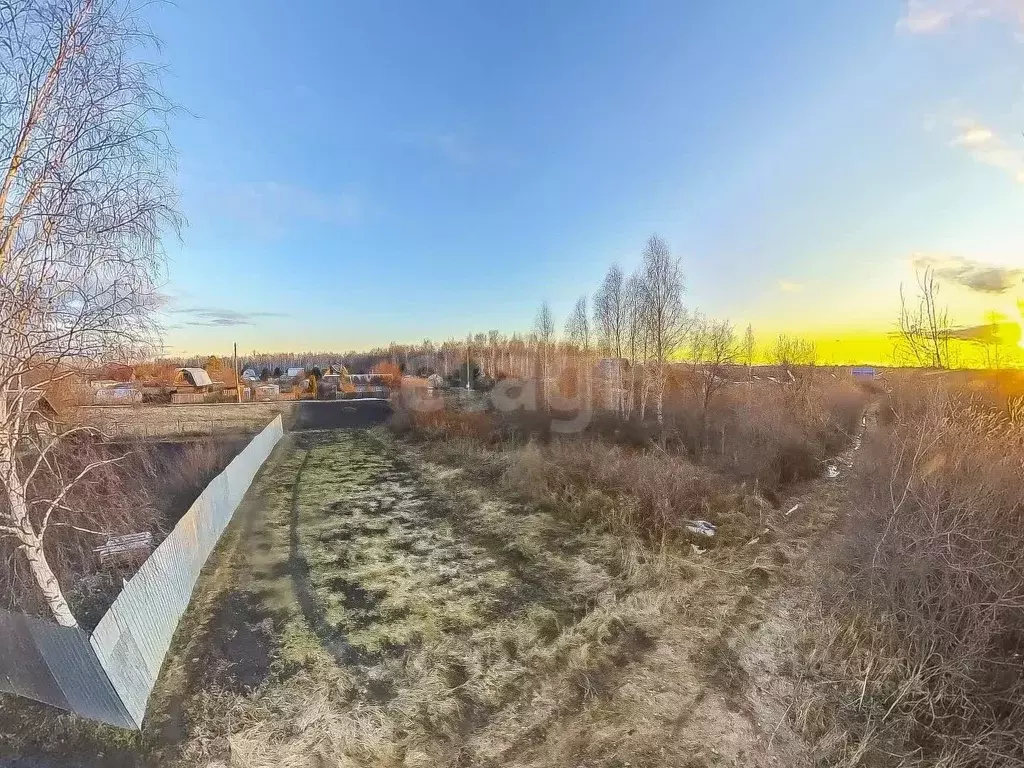 Участок в Тюменская область, Тюменский муниципальный округ, Красная ... - Фото 1