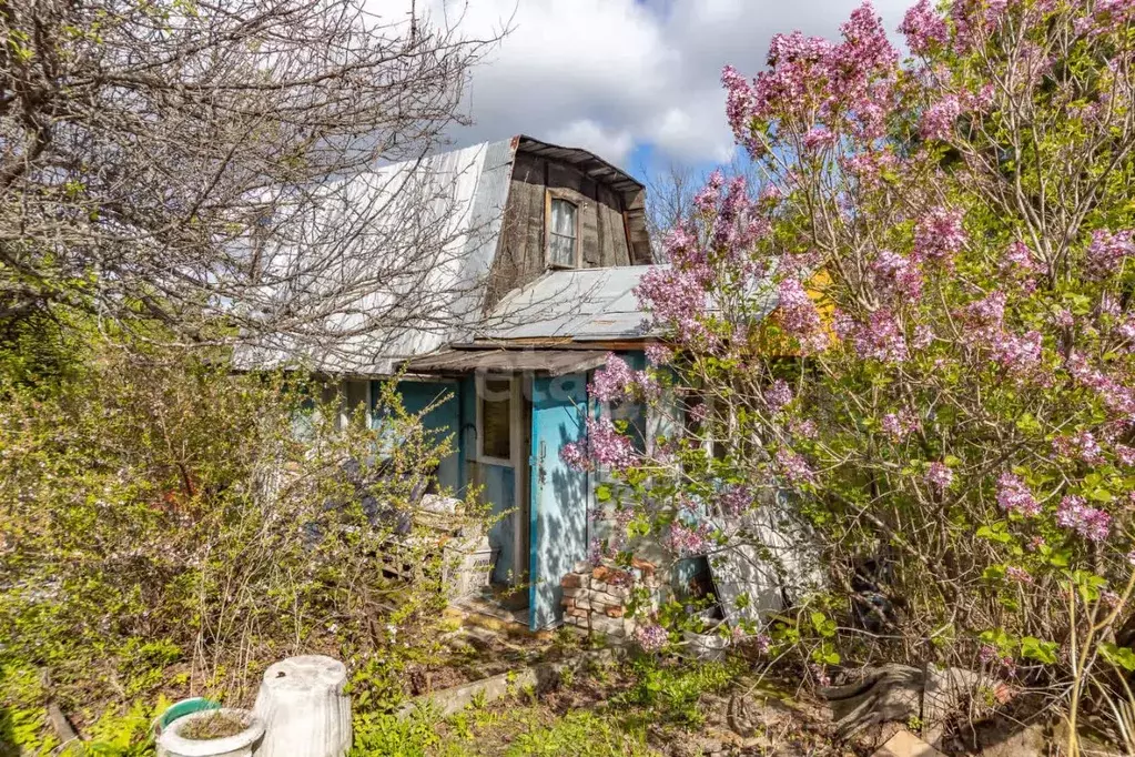 Дом в Хабаровский край, Хабаровский район, Новинка СНТ 33 (20 м) - Фото 2