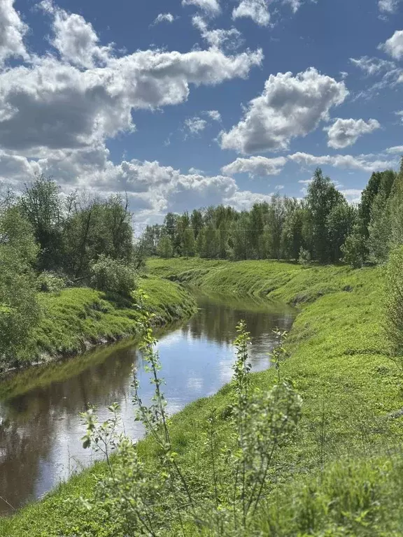 Участок в Московская область, Лотошино муниципальный округ, д. ... - Фото 1