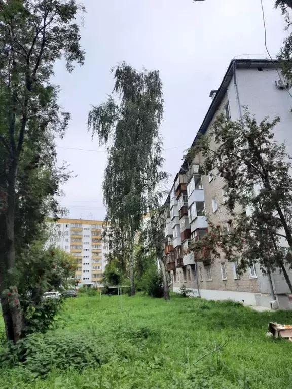 1-к кв. Пермский край, Пермь Магистральная ул., 96/2 (31.0 м) - Фото 1