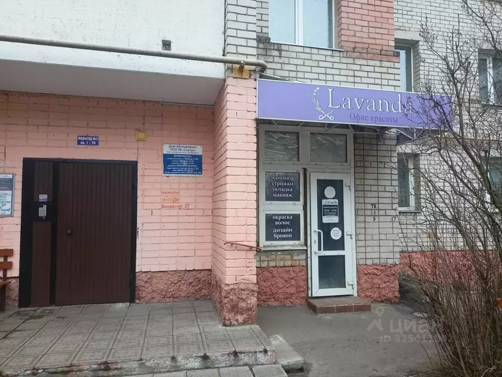 Помещение свободного назначения в Брянская область, Брянск ул. ... - Фото 2