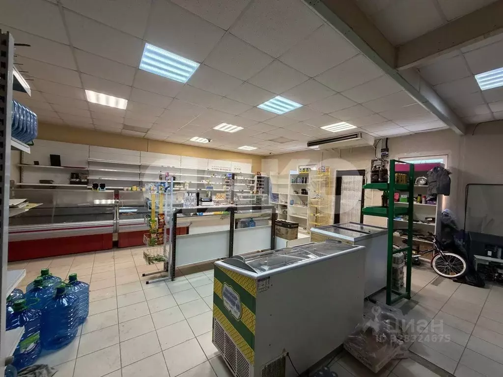 Торговая площадь в Московская область, Раменский муниципальный округ, ... - Фото 2