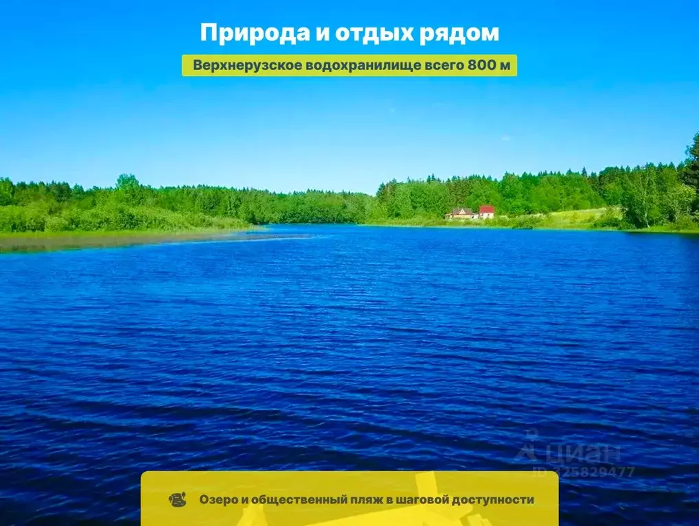 Участок в Московская область, Шаховская муниципальный округ, с. ... - Фото 1