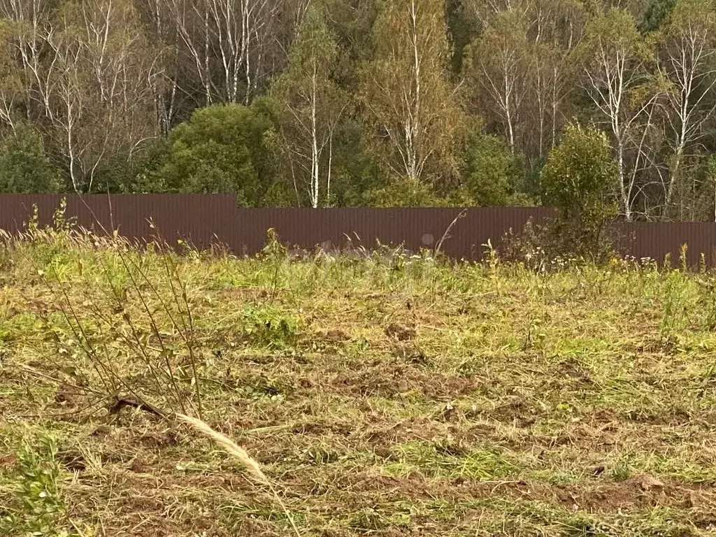Участок в Калужская область, Боровский муниципальный округ, Кривское ... - Фото 2