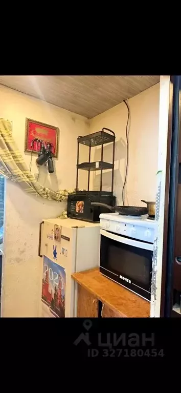 Комната Новосибирская область, Новосибирск ул. Никитина, 143 (9.0 м) - Фото 1