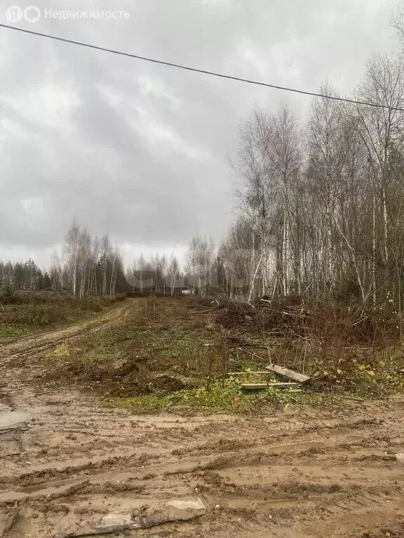 Участок в Калуга, Лесной переулок (6 м) - Фото 2