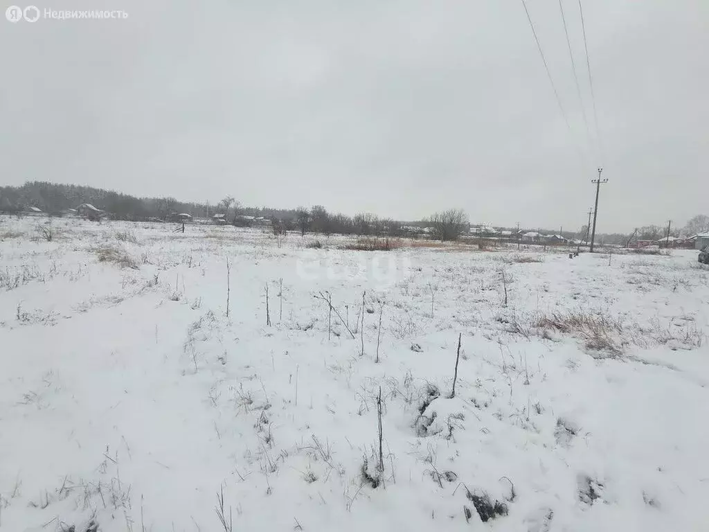 Участок в село Новая Усмань, Раздольная улица (10 м) - Фото 1