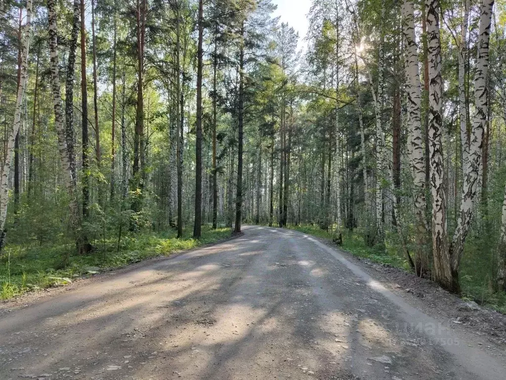 Участок в Свердловская область, Екатеринбург Улесье кп, ул. Невская ... - Фото 1