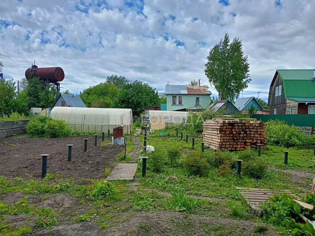 Участок в Новосибирская область, Новосибирск СНТ Рассвет тер., 99 (6.6 ... - Фото 0