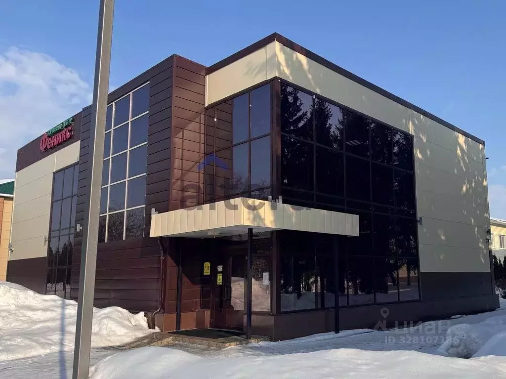 Помещение свободного назначения в Татарстан, с. Муслюмово ул. Пушкина, ... - Фото 2