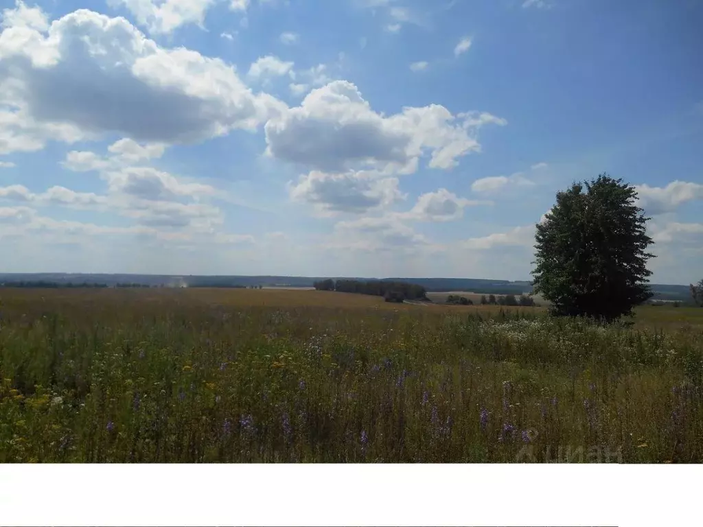 Участок в Орловская область, Мценский район, Спасско-Лутовиновское ... - Фото 1