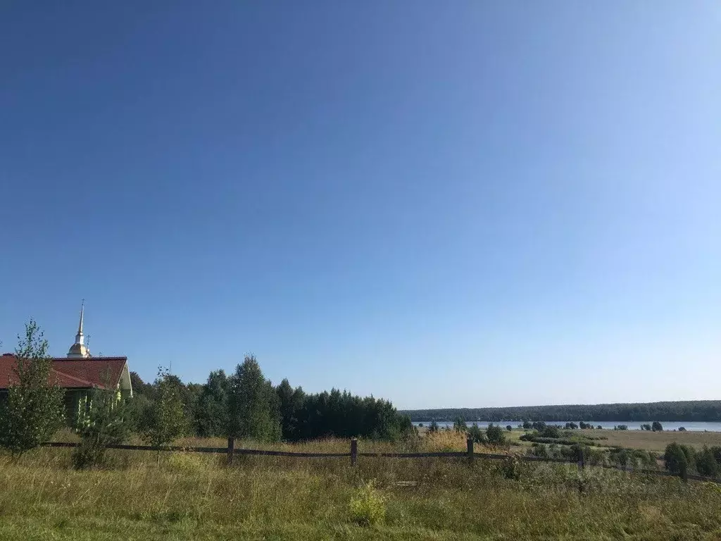 Участок в Ярославская область, Угличский муниципальный округ, д. ... - Фото 1