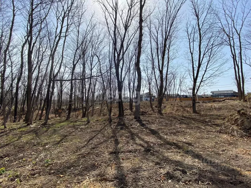 Погода в шмидтовке приморского края. Поселок шмидтовка приморский край. Шмидтовка приморский край. 2, посёлок де-фриз фото. Шмидтовка приморский край.