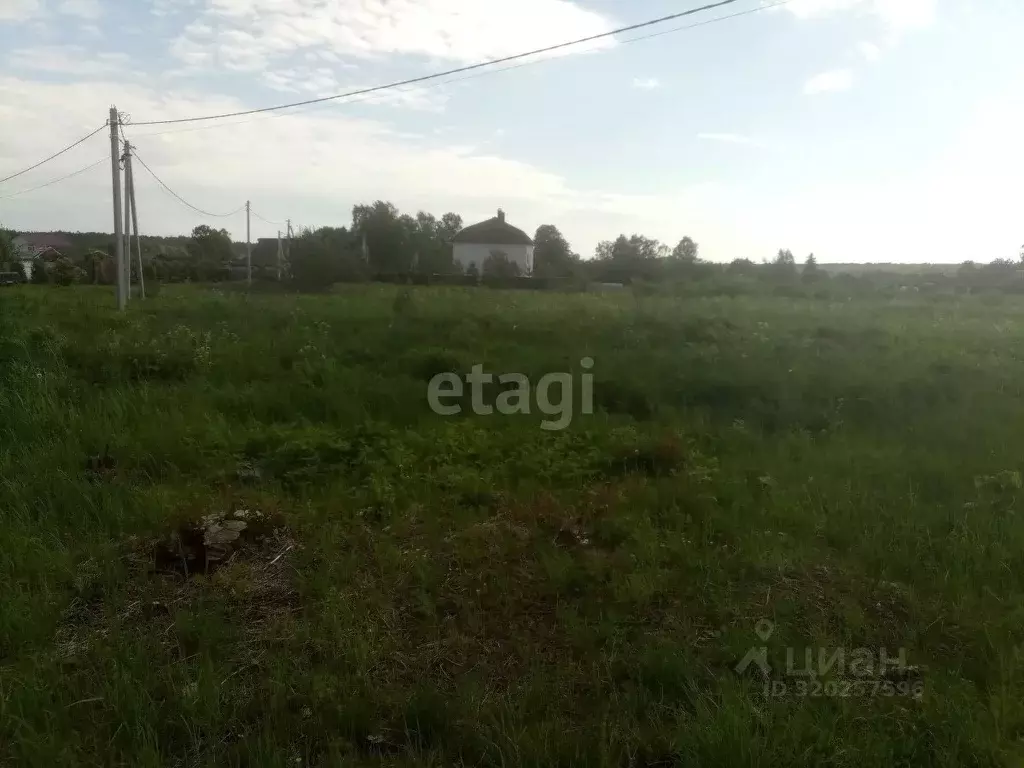 Участок в Костромская область, Красносельский район, Чапаевское с/пос, ... - Фото 1