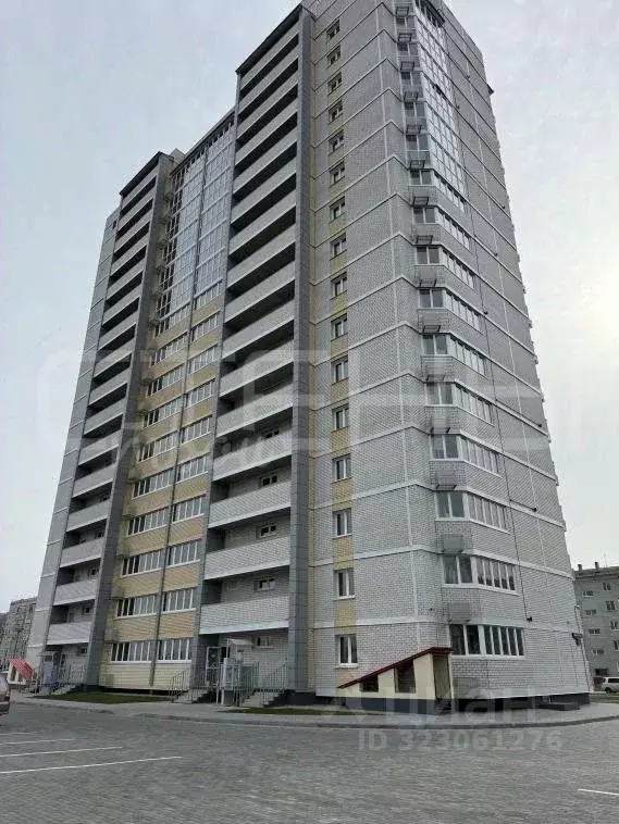 1-к кв. Амурская область, Благовещенский район, с. Чигири ул. ... - Фото 0