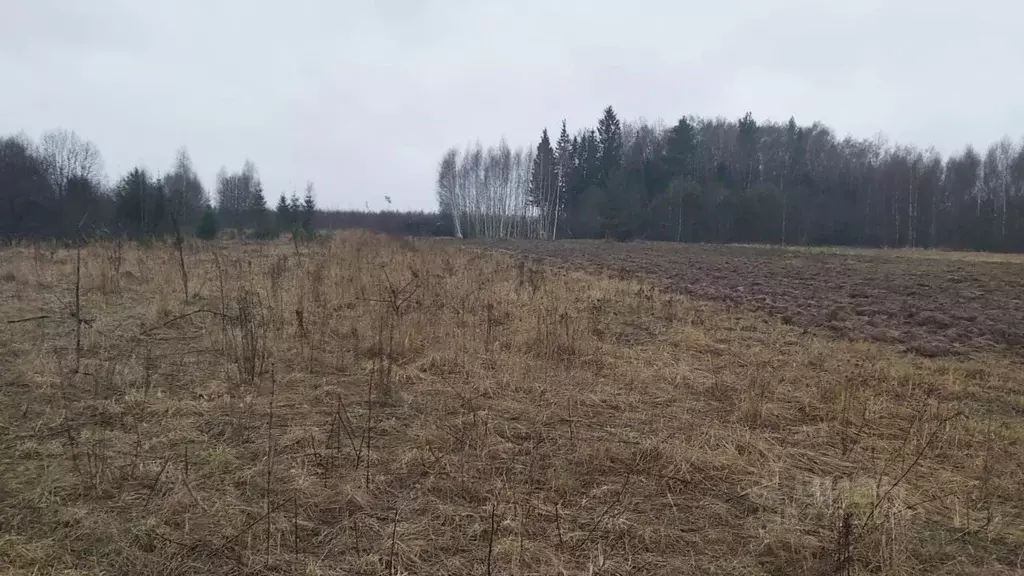 Участок в Московская область, Рузский муниципальный округ, д. Лобково  ... - Фото 0