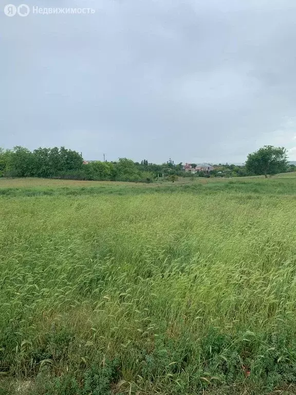 Участок в Чистенькое, улица Калинина, 31 (13.7 м) - Фото 1
