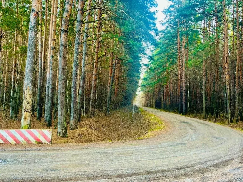 Участок в Уфа, СНТ Дёмский Солнечный - 1, Солнечная улица (45 м) - Фото 2