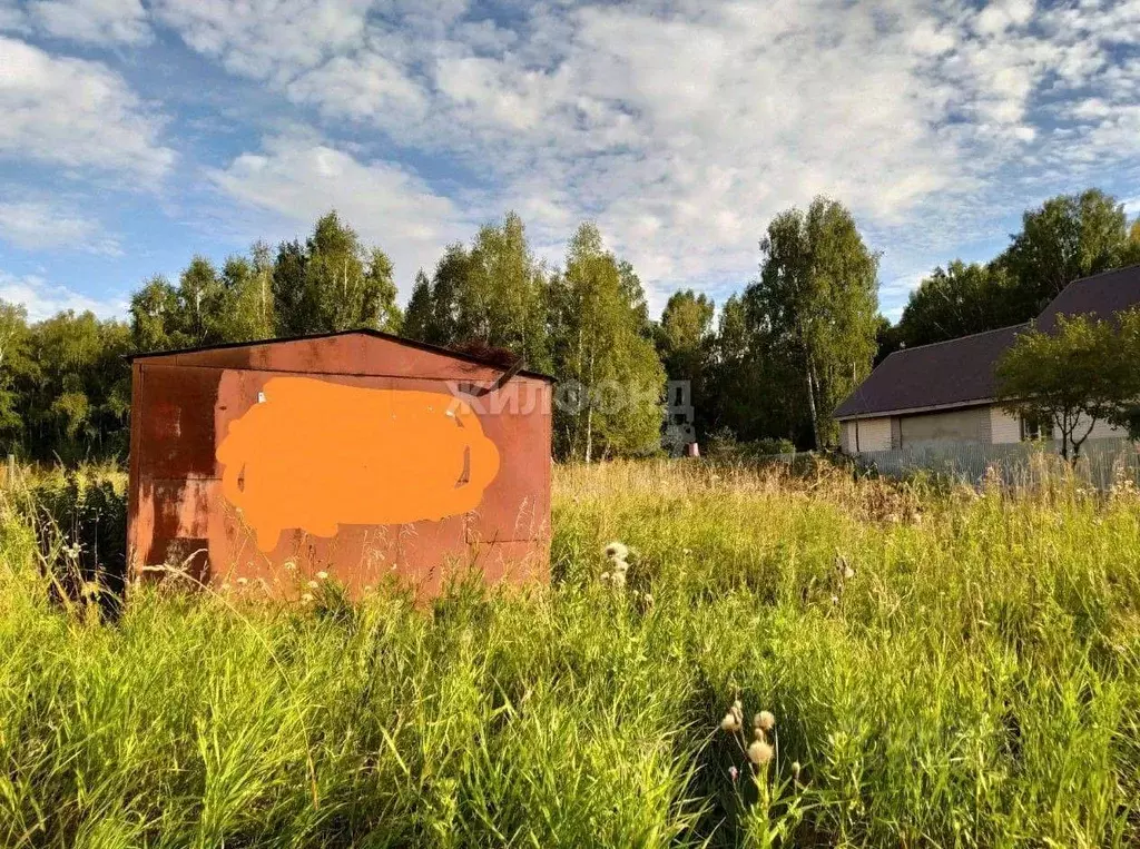 Участок в Новосибирская область, Коченевский район, с. Катково Майская ... - Фото 0