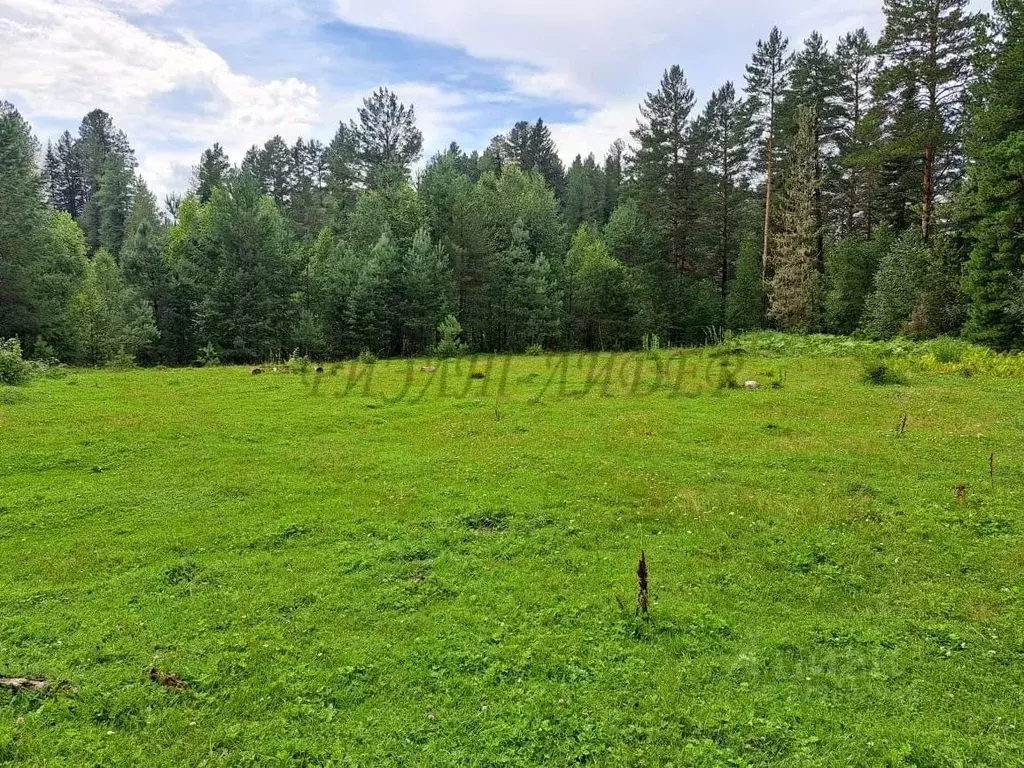Участок в Алтай, Турочакский район, с. Кебезень  (5.6 га.) - Фото 2