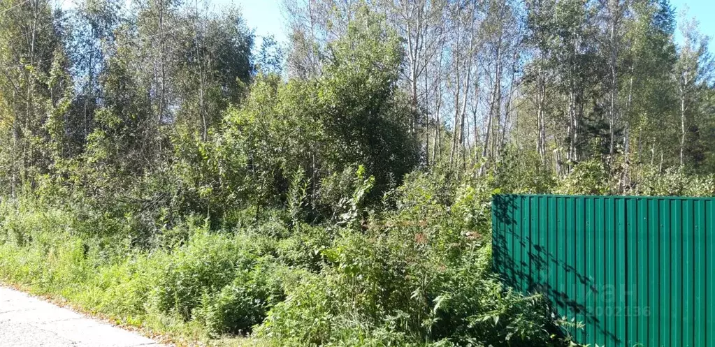 Участок в Московская область, Орехово-Зуевский городской округ, ... - Фото 1