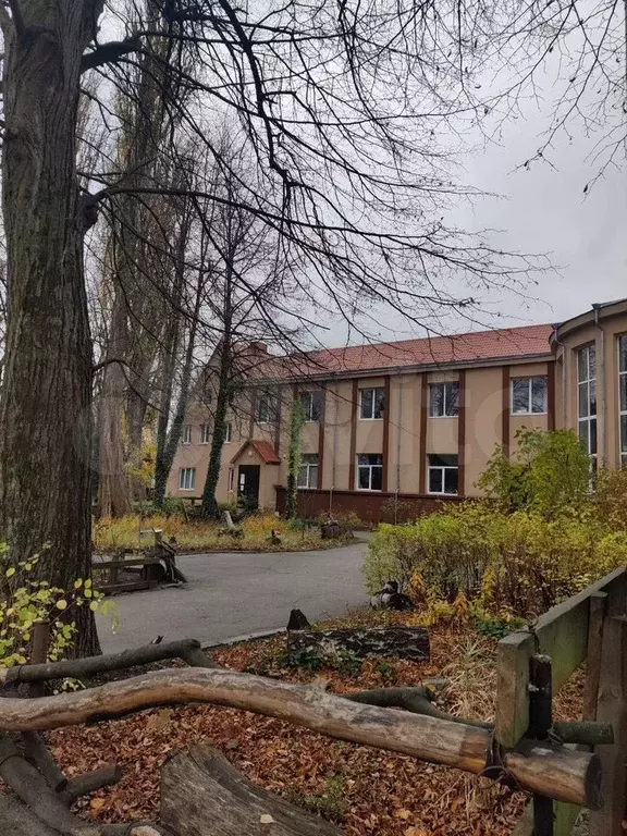 Сдам помещение свободного назначения, 52.8 м - Фото 0