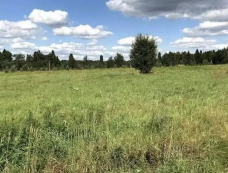 Участок в Пермский край, Березники муниципальный округ, с. Пыскор пер. ... - Фото 2