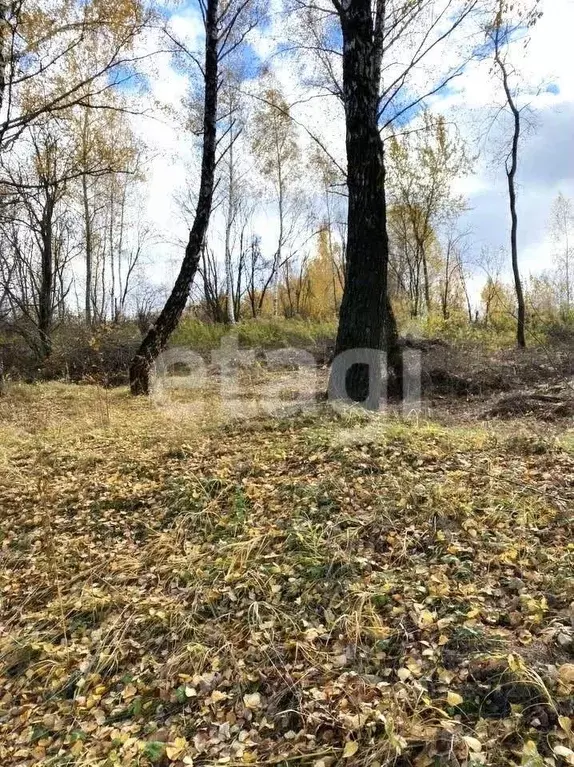 Участок в Тульская область, Тула Медвенка СНТ,  (11.1 сот.) - Фото 0