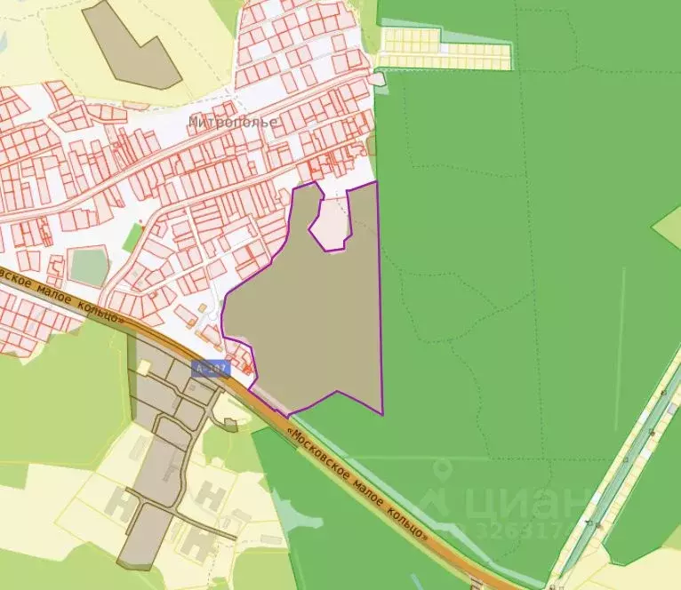 Участок в Московская область, Пушкинский городской округ, д. ... - Фото 2