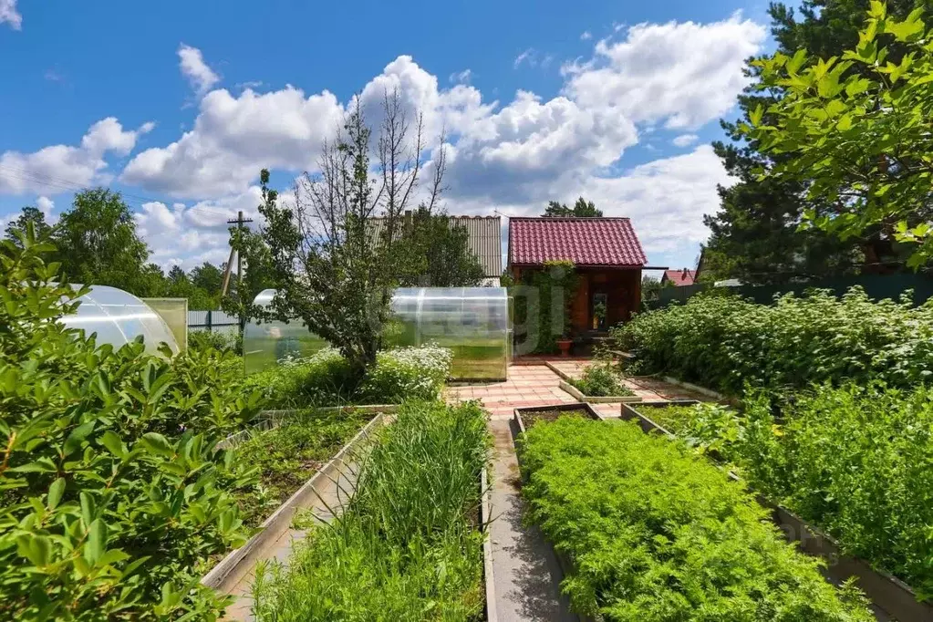 Дом в Иркутская область, Иркутский муниципальный округ, Светофор СНТ ... - Фото 1