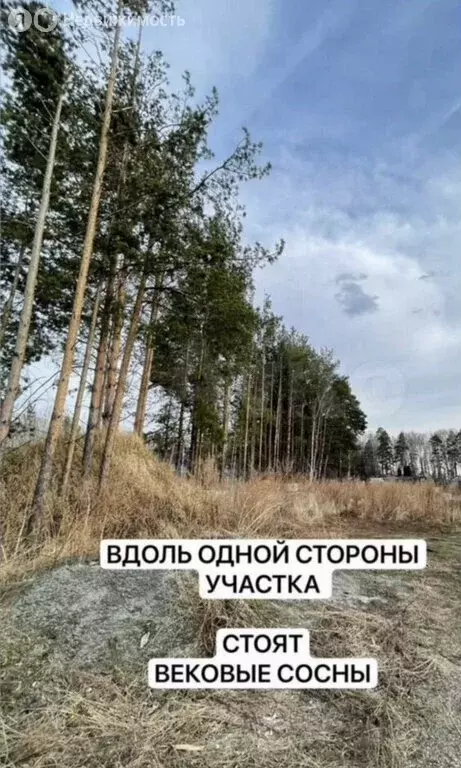 Участок в посёлок городского типа Верхнее Дуброво, микрорайон ... - Фото 2