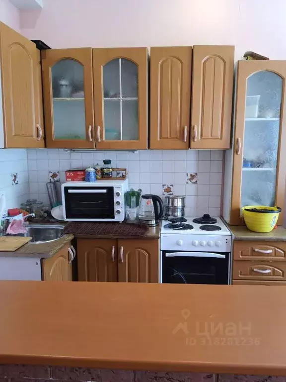 Студия Омская область, Омск ул. Профинтерна, 10 (24.0 м) - Фото 1